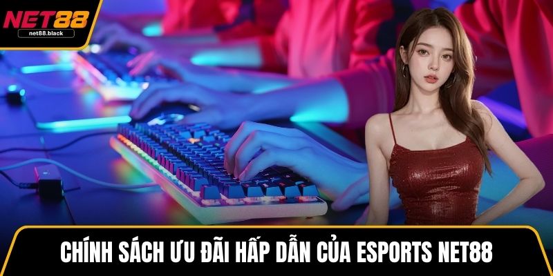 Chính sách ưu đãi hấp dẫn của Esports NET88