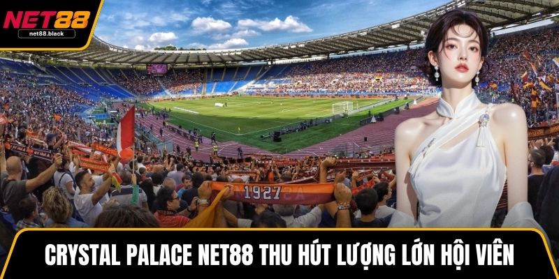 Crystal Palace NET88 thu hút lượng lớn hội viên